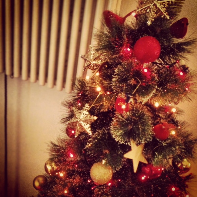 albero tegamini