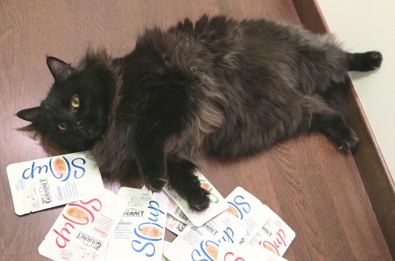 Ottone von Testimonial che si scofana allegramente il nuovo Gourmet Soup