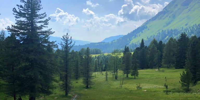 Val di Fiemme: mini guida per qualche giorno coi bimbi
